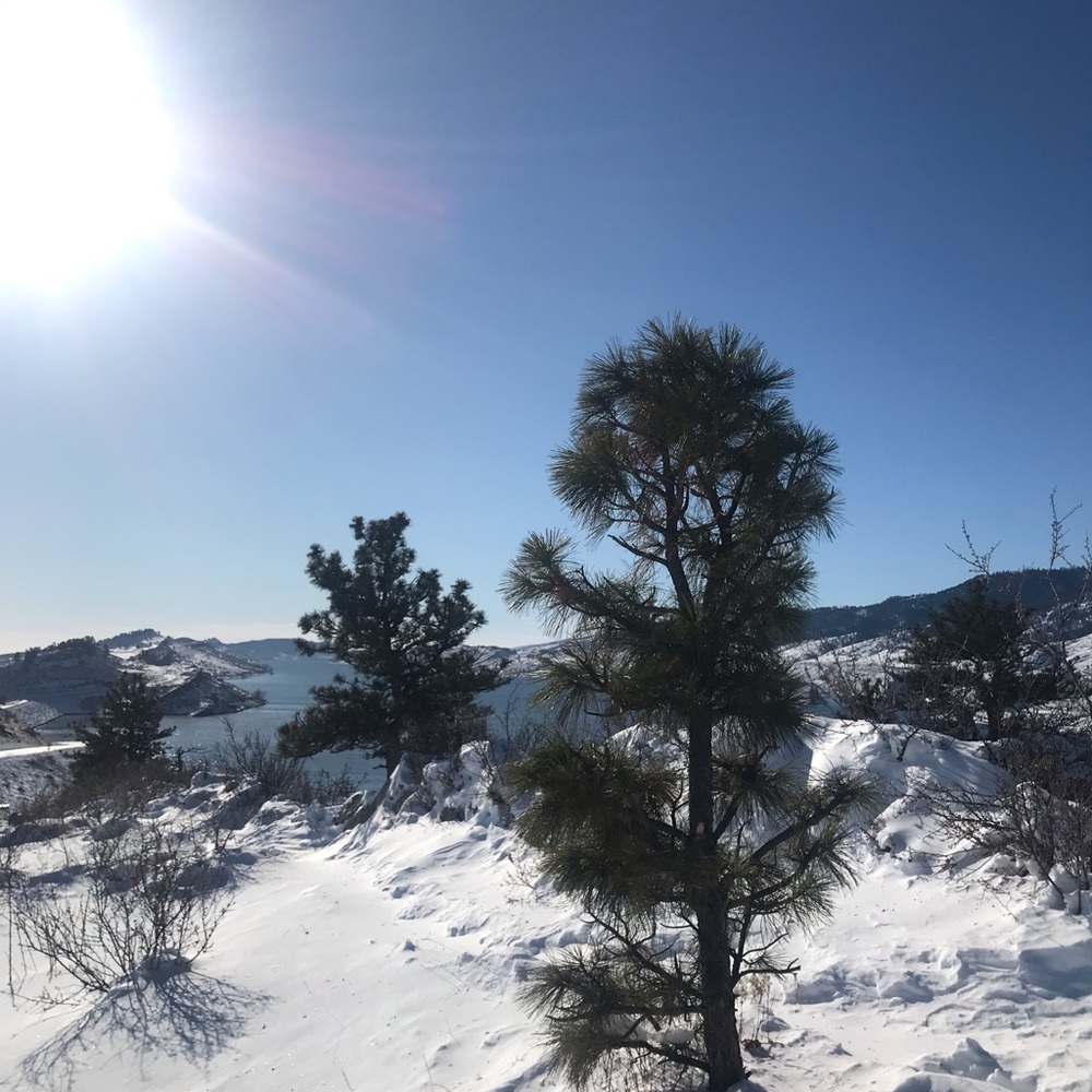 Meet your Posher, Brenda